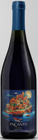 Вино «Энканто Россо Сицилия Био» красное сухое сицилия 13% 0.75л